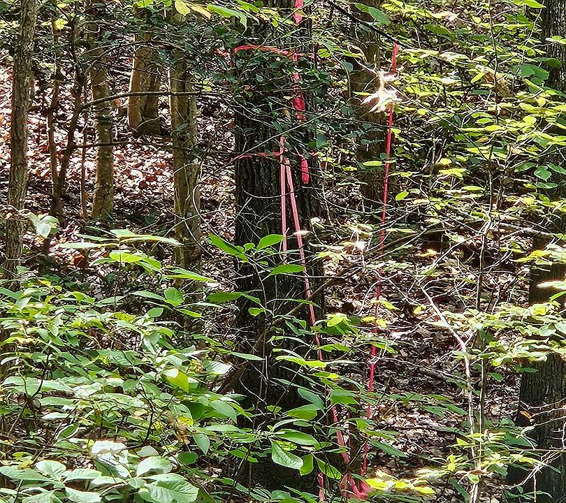 1st image of 0 Off Of Long Branch Rd