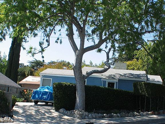 Shaded by a mature Chinese Elm