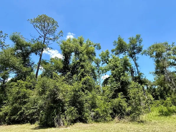 Vacant Wildwood Cir, Live Oak, FL 32064