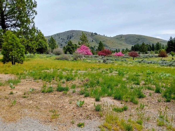 79464 Brae Gate Rd, Portola, CA 96122