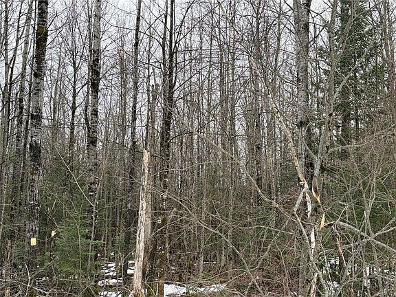 4th image of ON Hofer Road