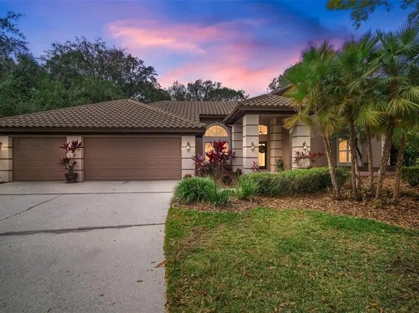 17824 Grey Brooke Dr, Tampa, FL 33647