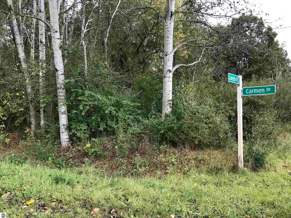 1098 Carmen Dr Lot 24, Weidman, MI 48893