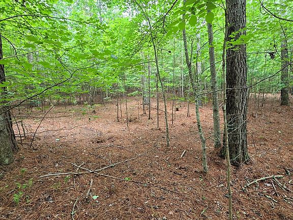 5th image of 42 Loftis Mountain Way