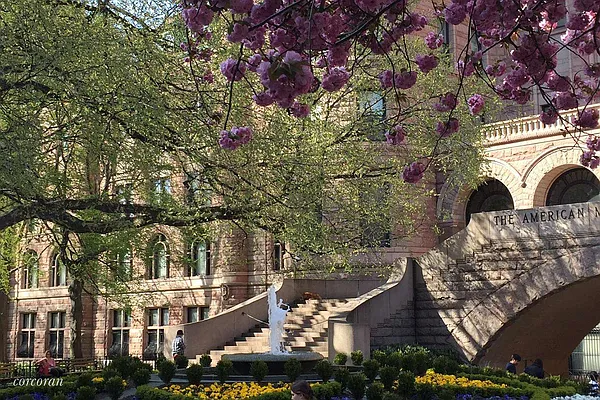 Sold by Corcoran | media 29