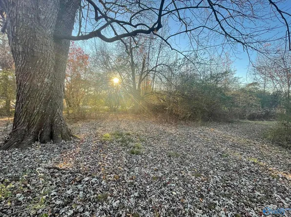 11348 Highway 67 S, Joppa, AL 35087