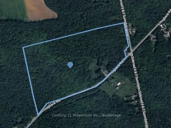 3664 Hogback Rd, Clearview, ON L0M 1N0