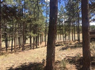 837 Wilson Dr, Florissant, CO 80816