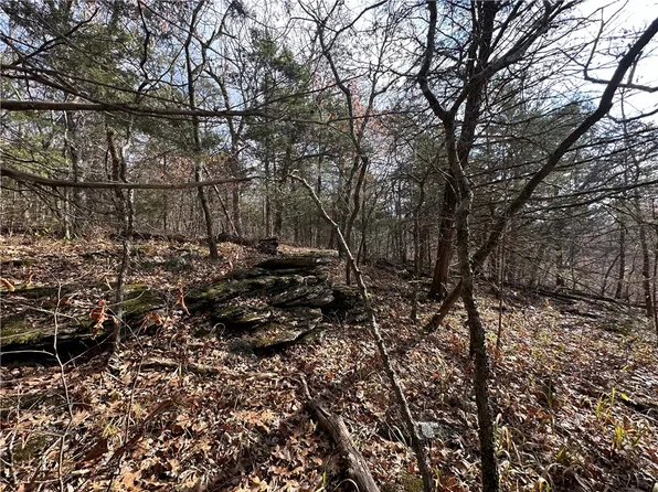 West Frk, West Fork, AR 72774