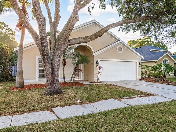 3rd image of 11711R Carrollwood Cove Dr