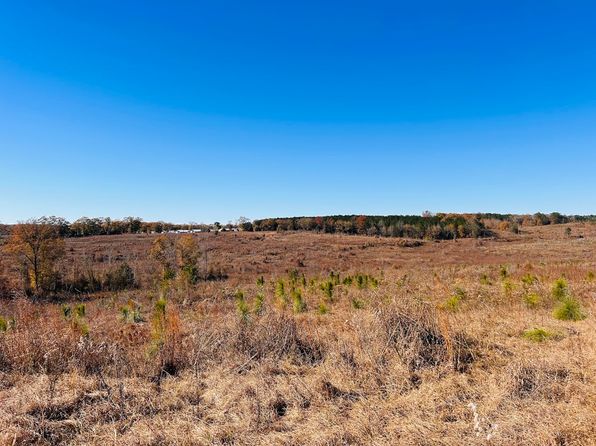 0 Jaye Rd, Rupert, GA 31081
