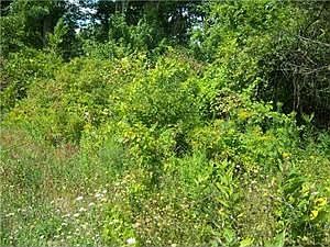 2nd image of 9190 Wolcott Rd