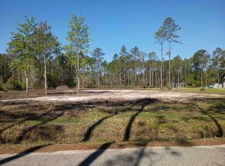 10035 Amos Ave, Hastings, FL 32145