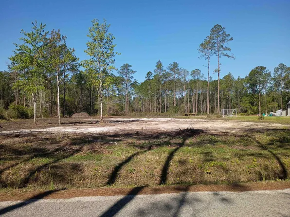 10035 Amos Ave, Hastings, FL 32145