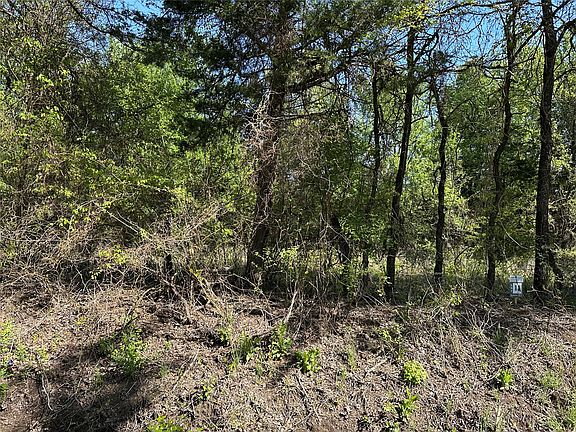 3rd image of TRACT Thirteen County Rd #2951