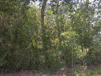 4795 Inez St, Hastings, FL, 32145