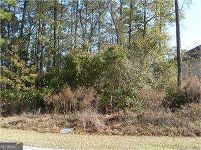 169 Palmera Ln, Brunswick, GA, 31525