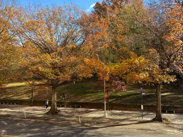 461 Central Park West image 6 of 7