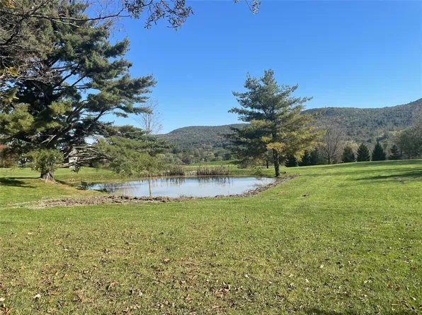 239 Worden Rd, Windsor, NY 13865