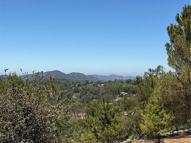 27258 Kiavo Dr — Photo 47