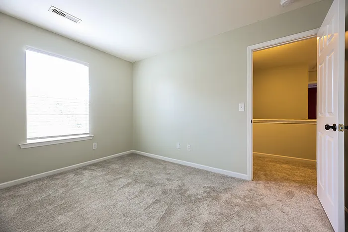 410 Revis Creek Ct — Photo 9