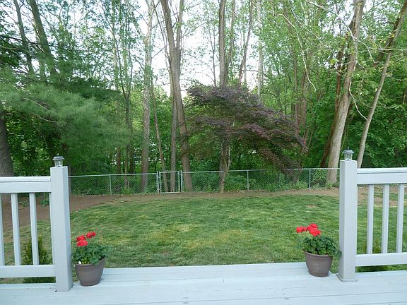 Backyard- Backs to Park