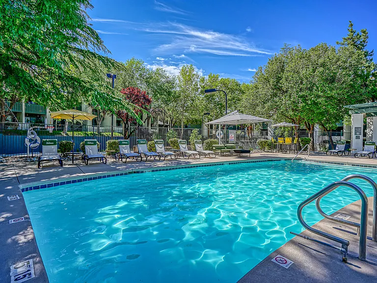 Sparkling Swimming Pool