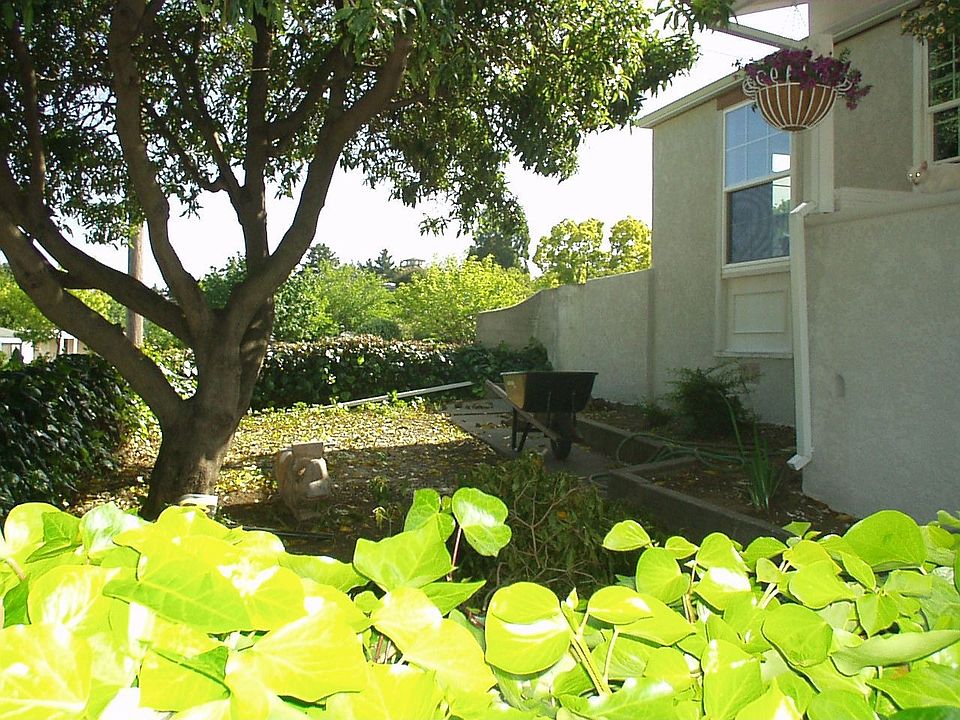 Front yard enclosed