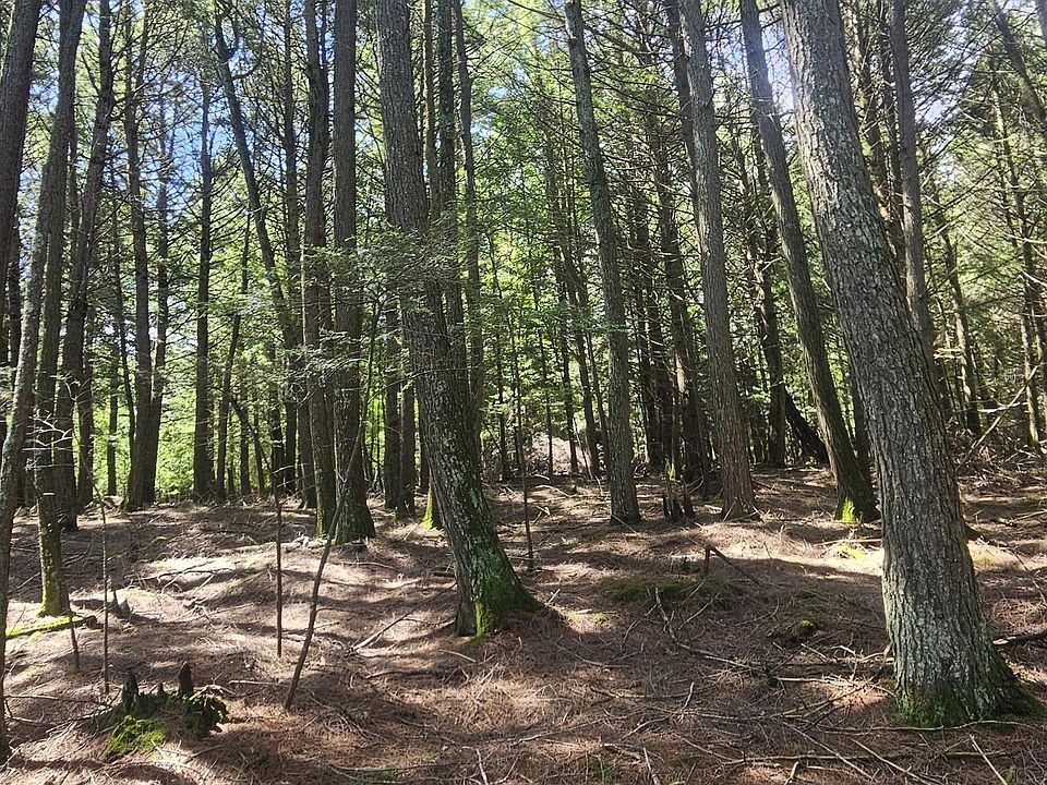 2nd image of LOT 3 Staehling Rd