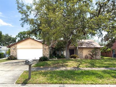 1228 Rainbrook Cir, Valrico, FL, 33596