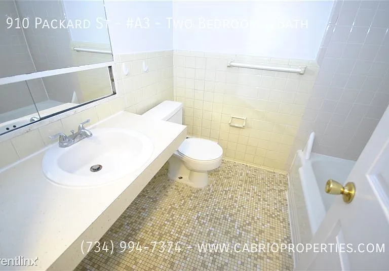 910 Packard St — Photo 24