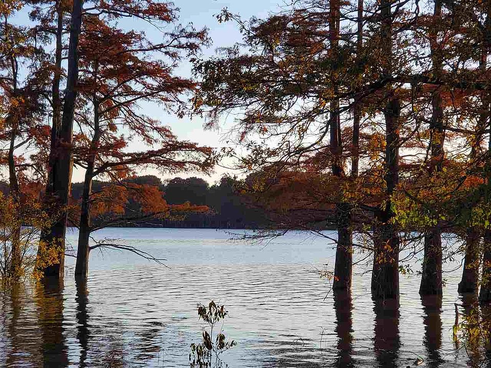 2nd image of 0 Chisholm Lake Rd Lot 4.03