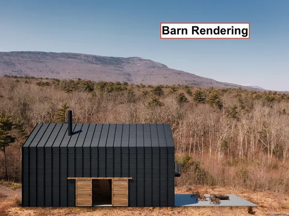 TBD Mt Turnpike, Catskill, NY 12414