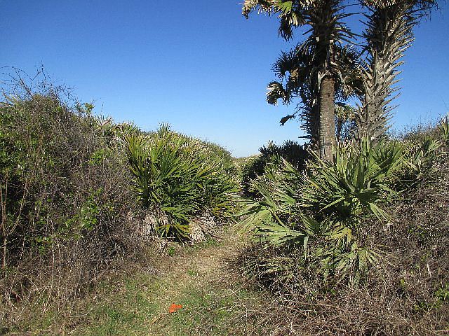1st image of 7089 N Ocean Shore Blvd
