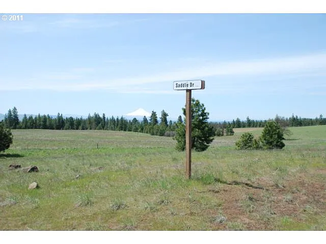 18 Saddle Dr photo 1