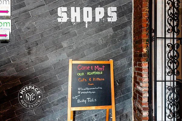 Rented by MySpaceNYC | media 38