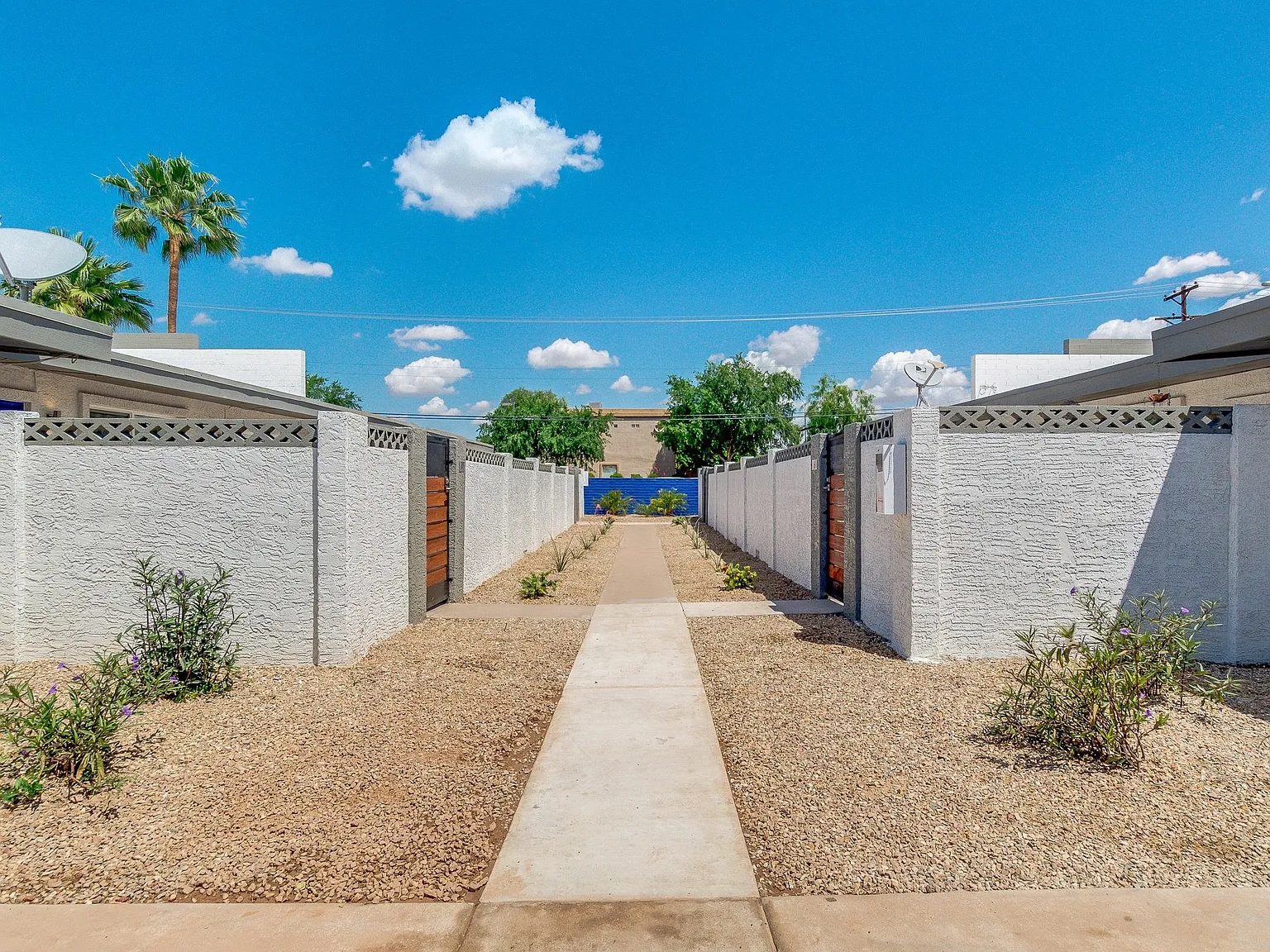 The Yardz — Photo 2
