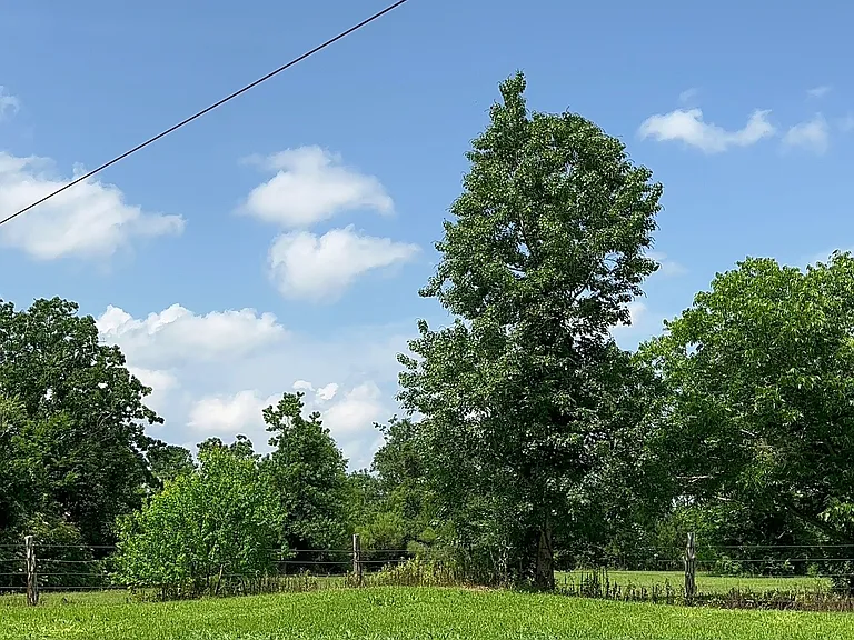 County Road 761 — Photo 20
