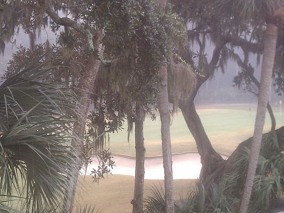 from back deck