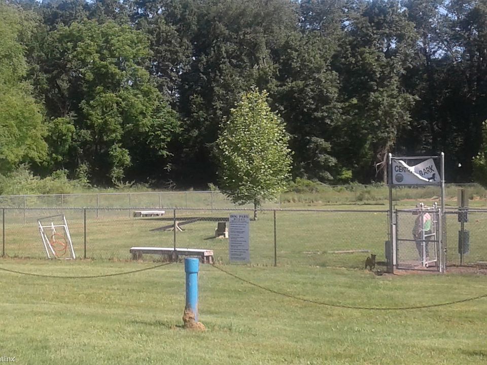 dog park 2