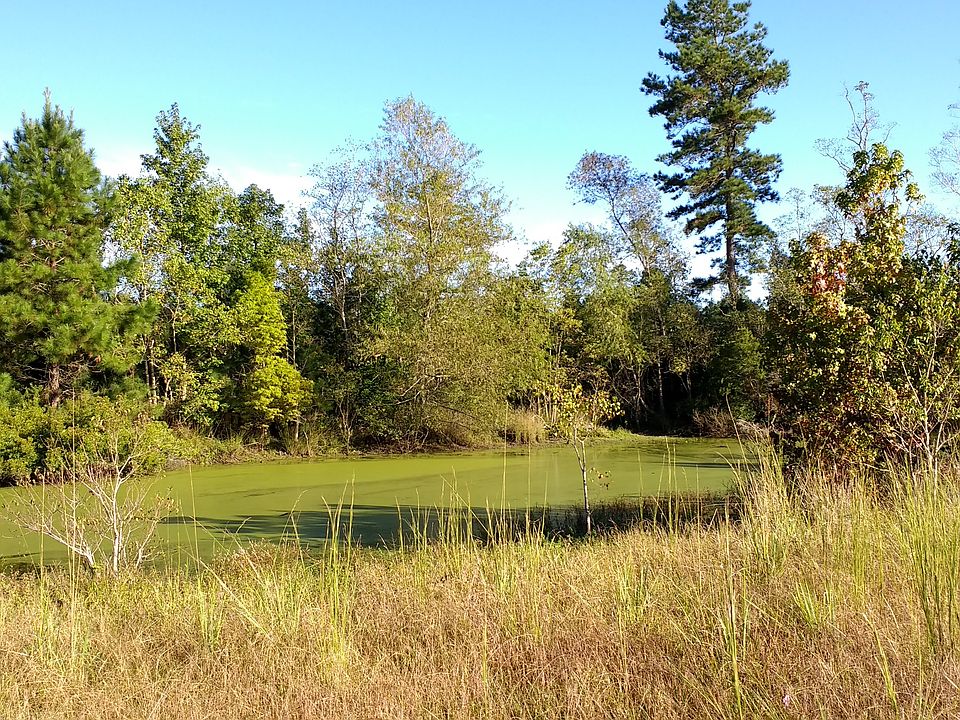 Pond