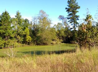 13539 Us Highway 96 S, Kirbyville, TX 75956