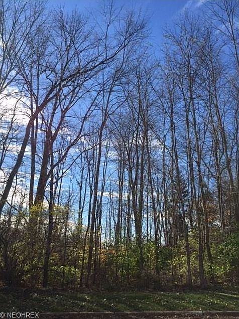 2nd image of 30270 Bainbridge Rd