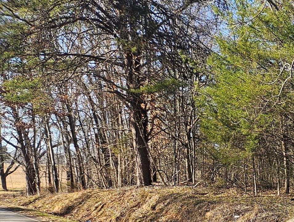 2nd image of 813 Hester Store Rd
