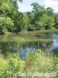 350 ft direct river frontage