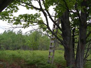 Easement O Marker Rd, Grayling, MI 49738