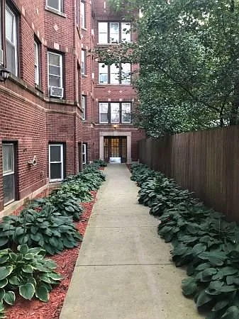 Courtyard View 2