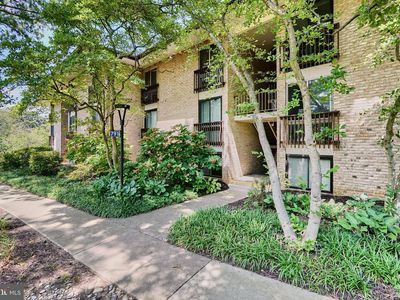 791 Fairview Ave APT D, Annapolis, MD, 21403