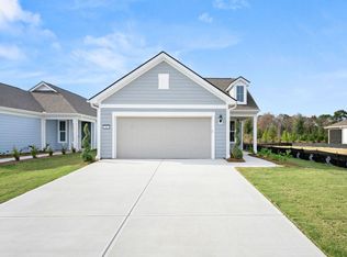 46 Bull Run Rd, Richmond Hill, GA 31324