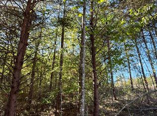 0 Owl Hollow Rd LOT 10, Palmer, TN 37365